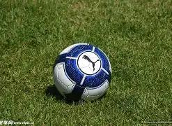 篮球赛事新,闻稿精选,乐鱼体育,乐鱼体育平台,乐鱼体育官方网站,乐鱼体育登录入口,乐鱼体育app下载