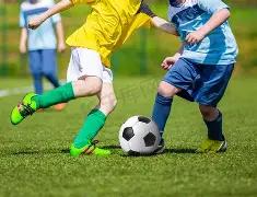 乐鱼体育,产品,乐鱼体育平台,乐鱼体育平台,乐鱼体育官方网站,乐鱼体育登录入口,乐鱼体育app下载