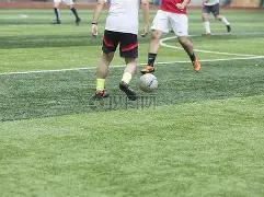 乐鱼体育,资讯,乐鱼体育平台,乐鱼体育平台,乐鱼体育官方网站,乐鱼体育登录入口,乐鱼体育app下载