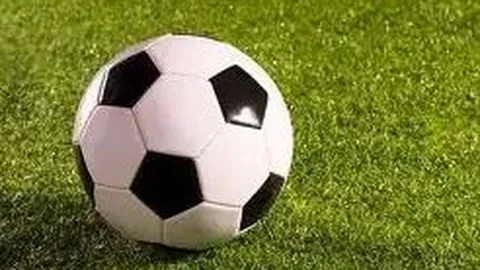 乐鱼体育 资讯 130355 3up