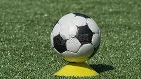 西域崛起的黄金世家