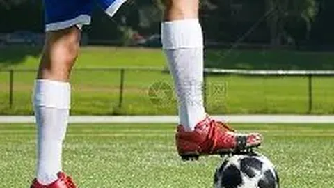 渔业巨头连续六涨停，发声引关注