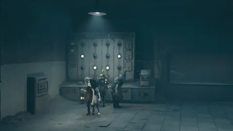 佩佩左前臂尺骨手术成功，现正康复中